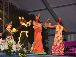 Festival de Folkore en Mula